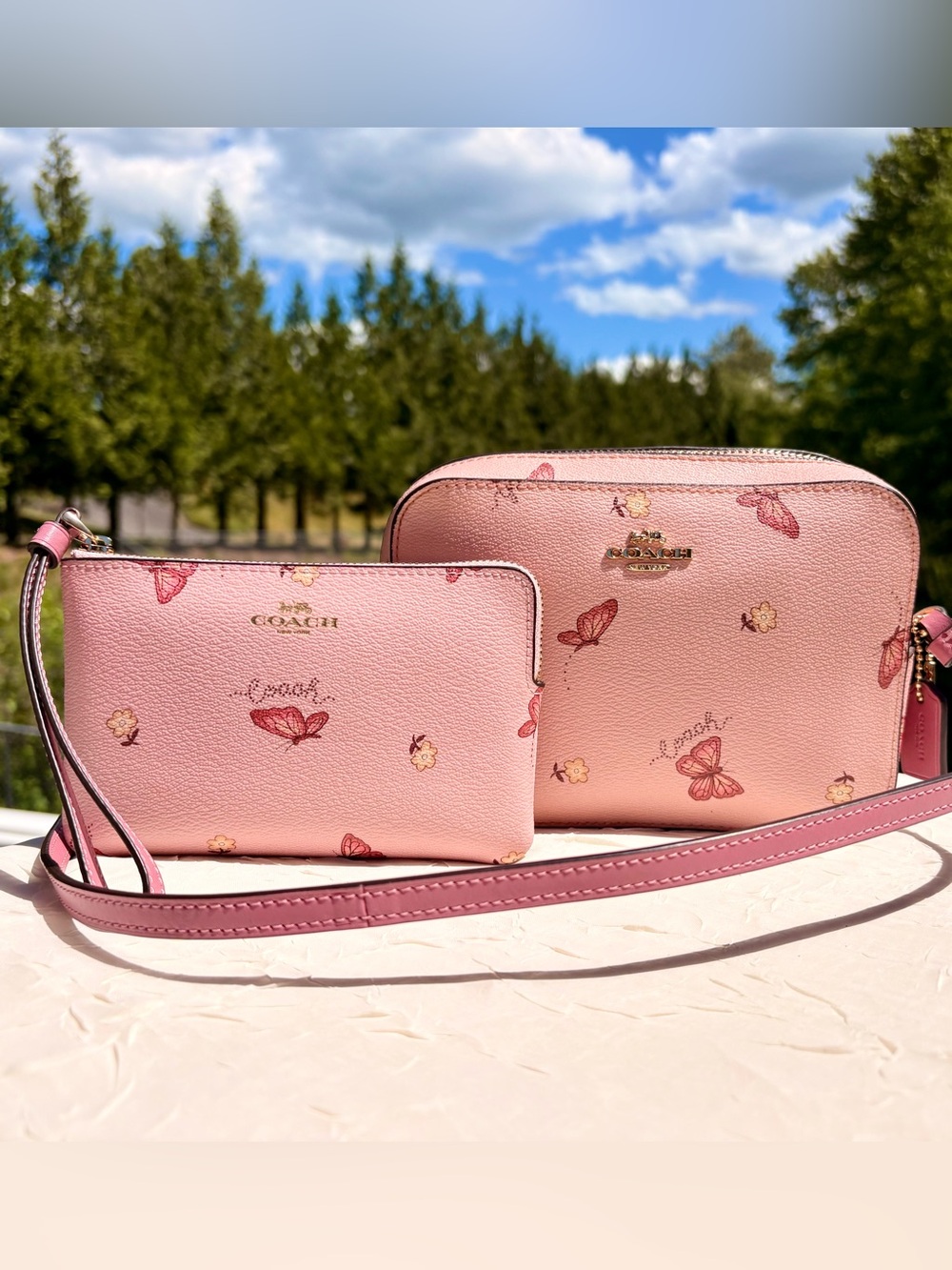 COACH Camera Bag With Butterfly Print With Matching Wallet 2464